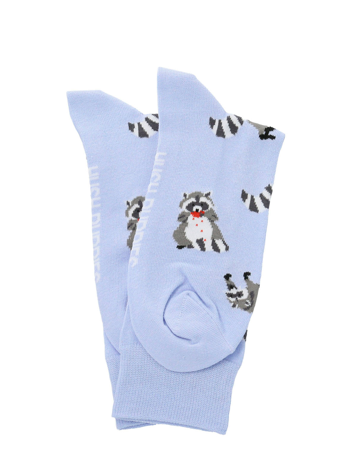 I25H C Raccoon Blue