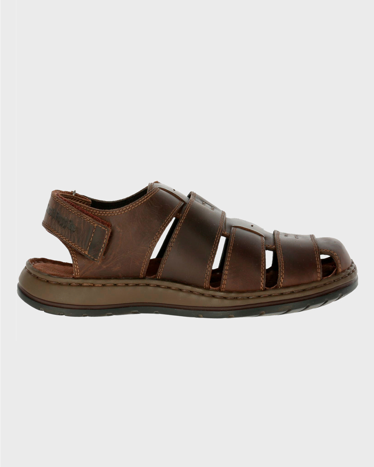 Caspian Brown
