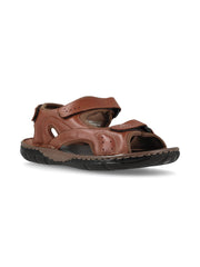 Troya Marron