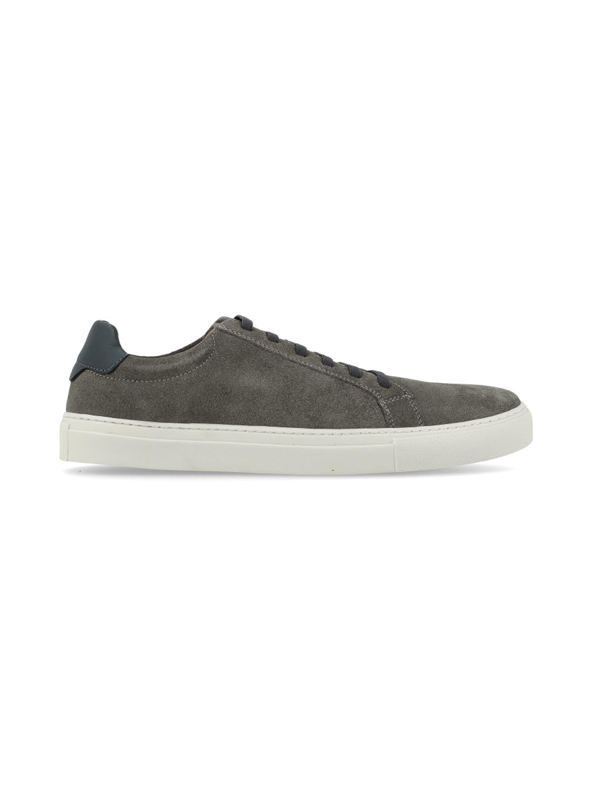 Coello  Grey