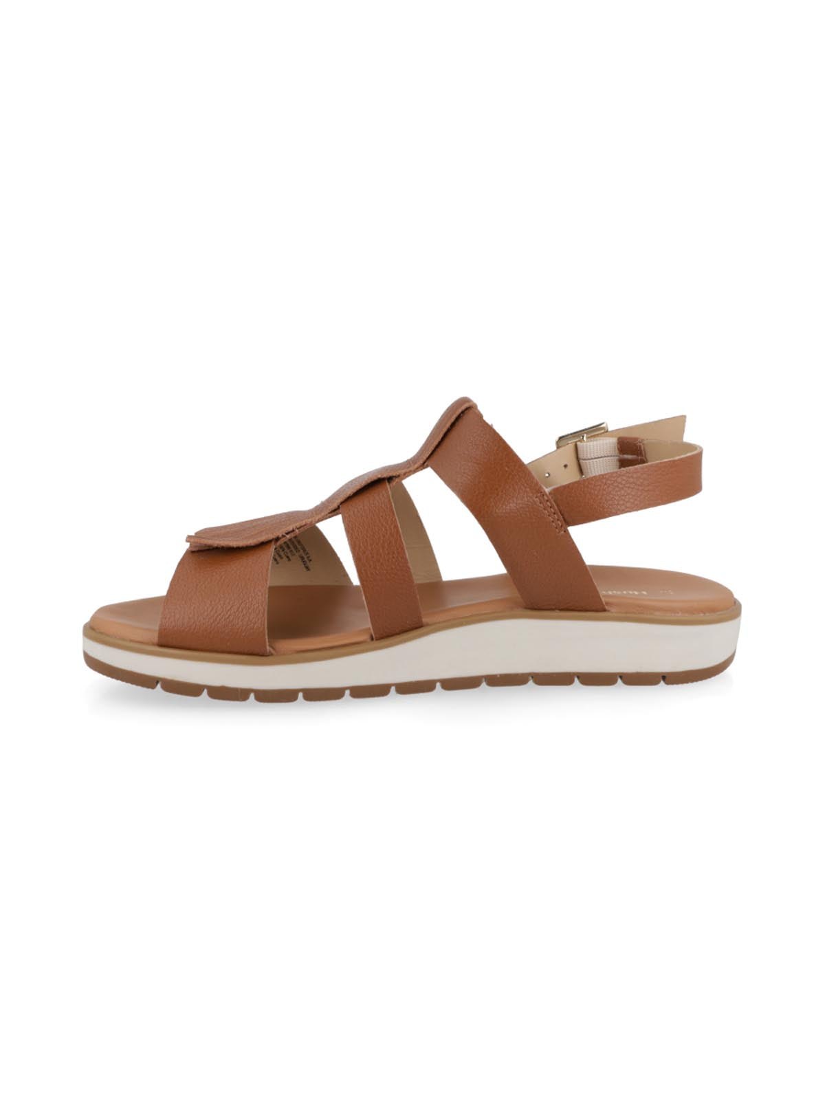 Viole Camel