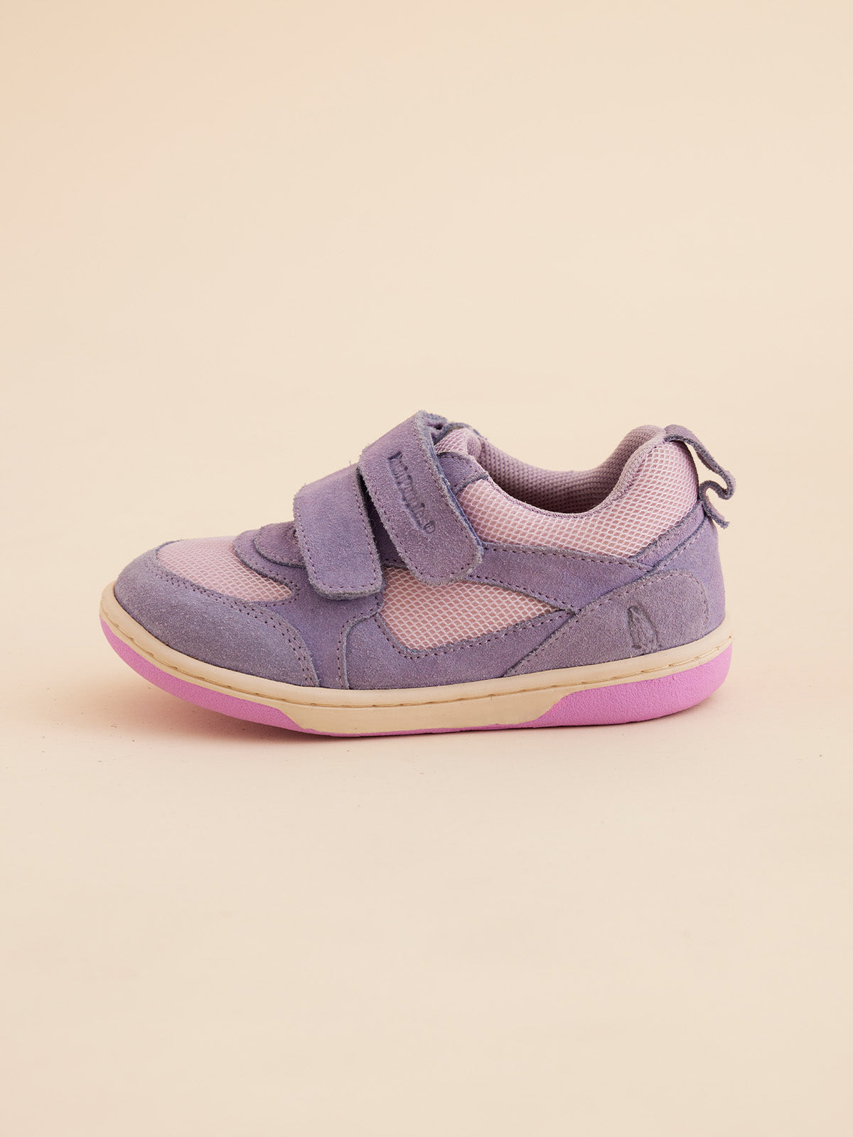 Lazo Pro Purple