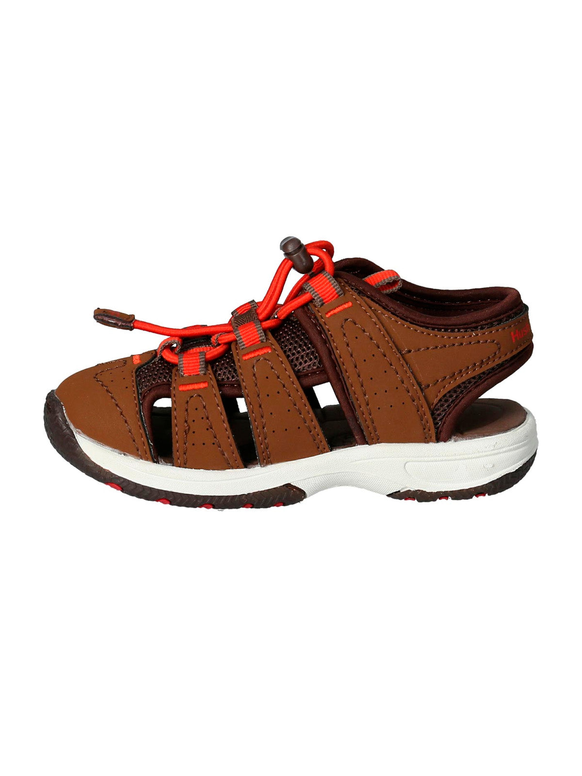 Atlantic  Brown