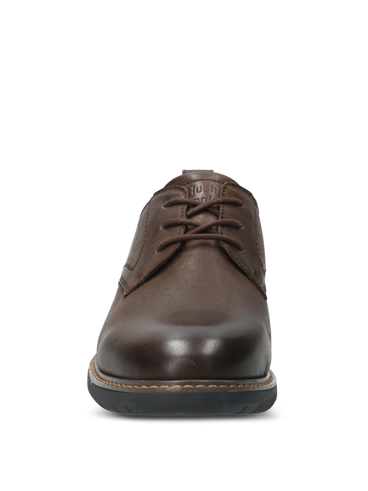 Bolo Dk Brown