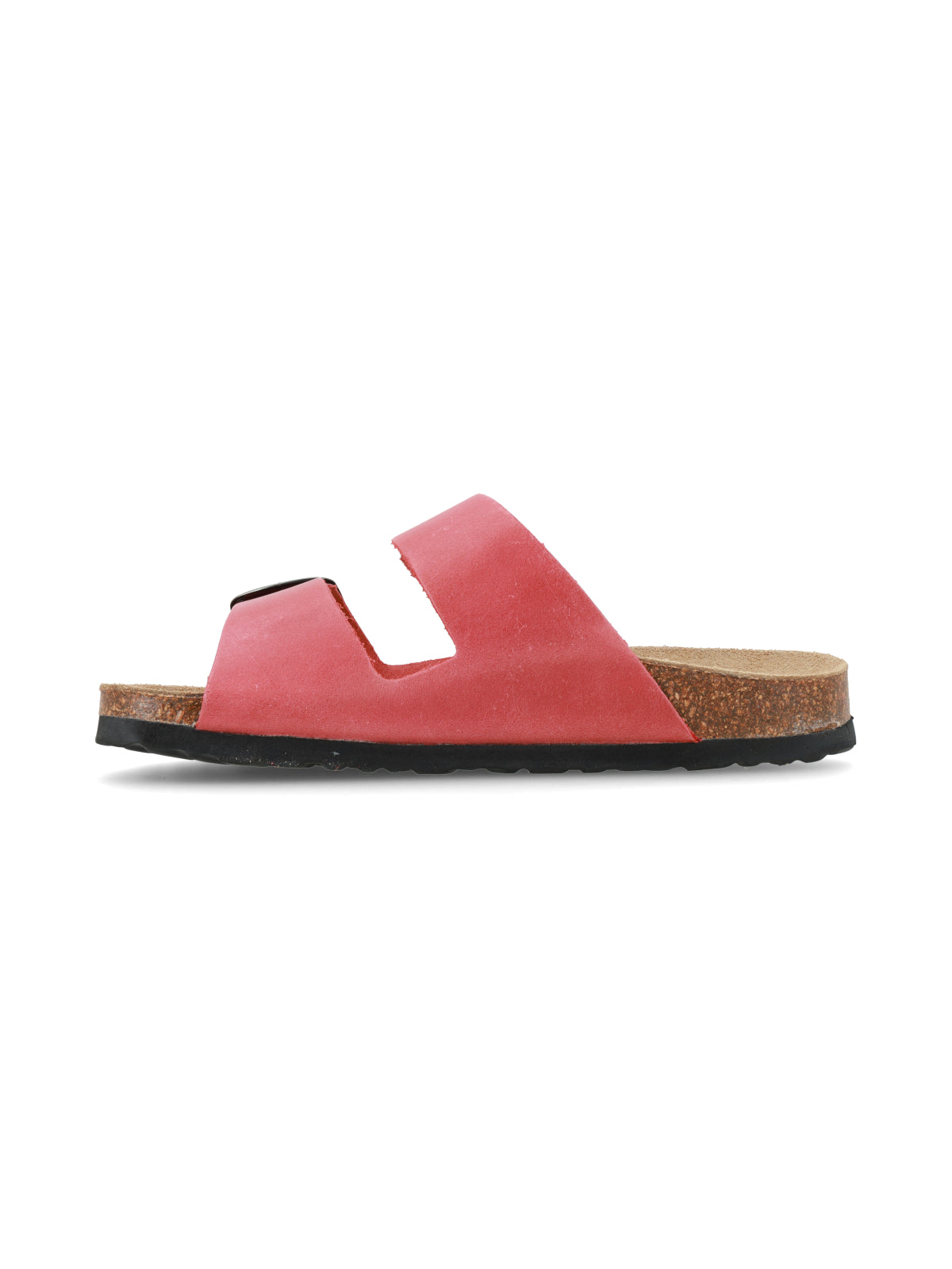 Algarrobo Rojo
