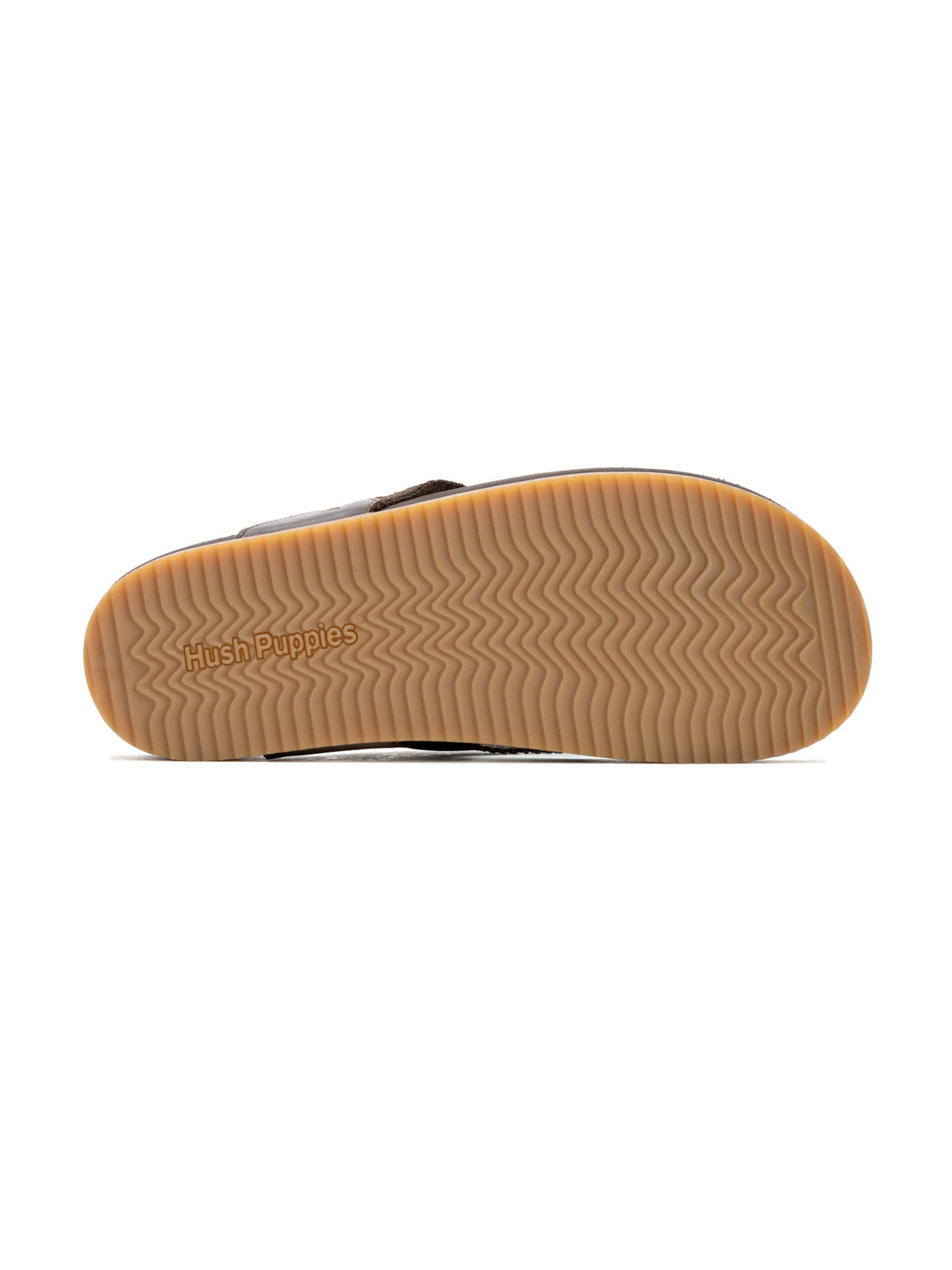 Merritt Toepost Fossil