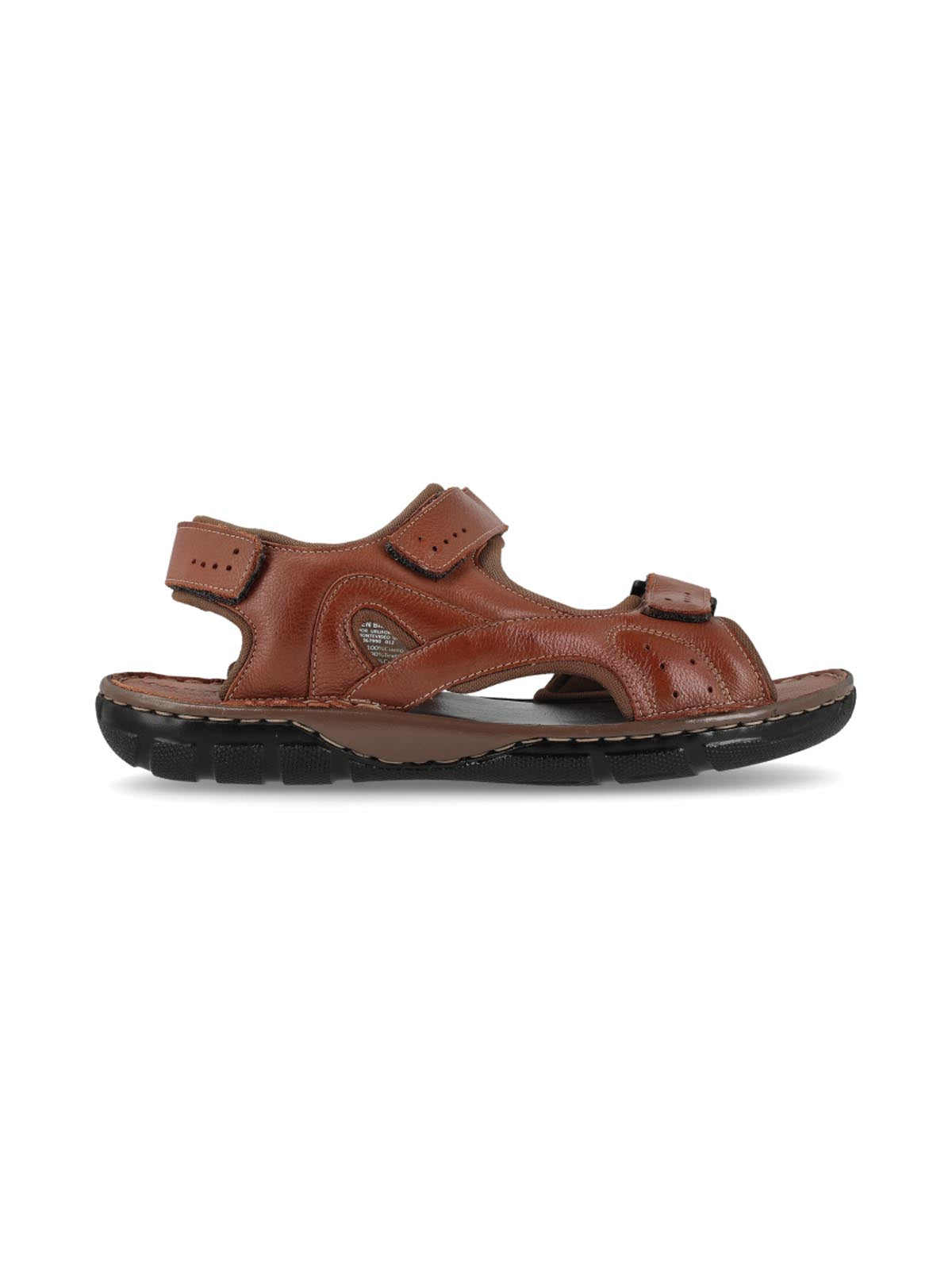 Troya Marron
