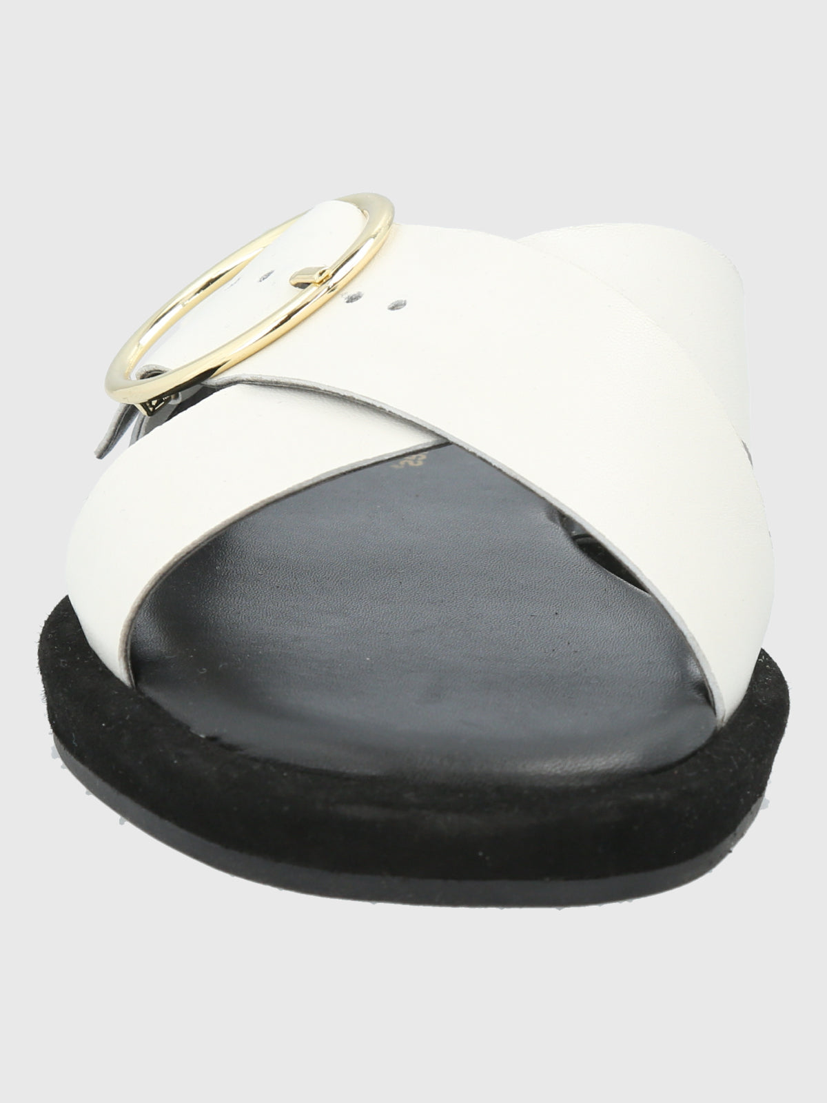 Bernard (02) White