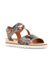 Sandalia Cleo Reptil Gris