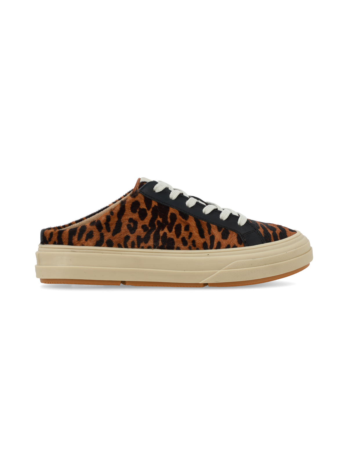 Blair Leopardo