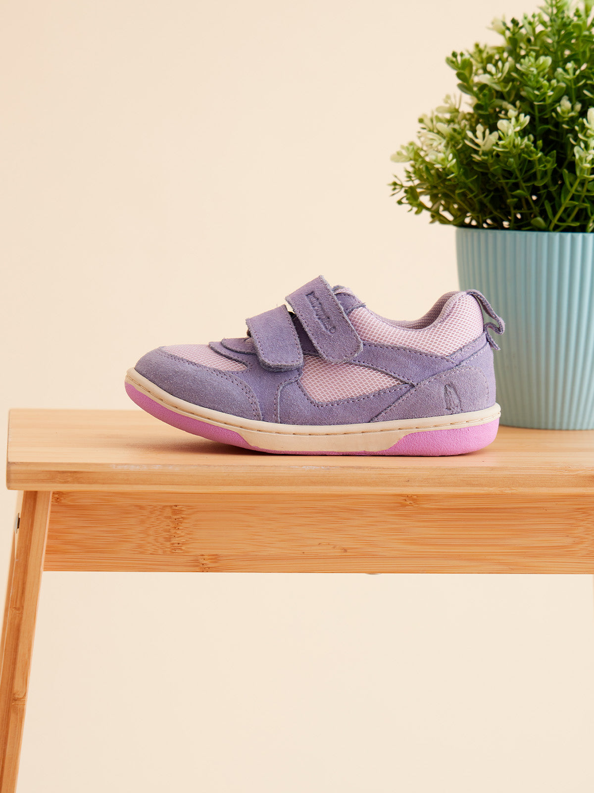 Lazo Pro Purple