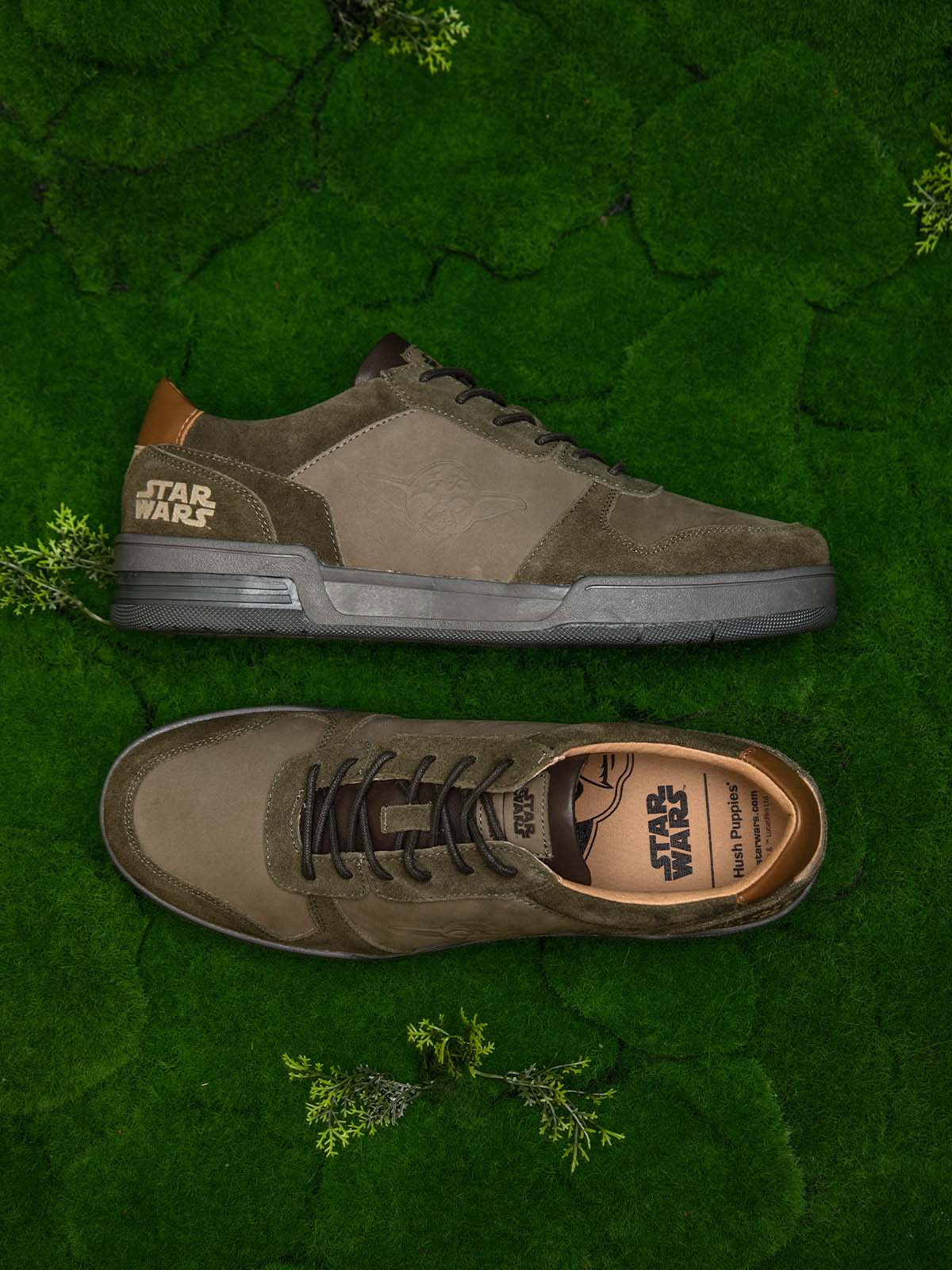 Yoda-M Olive