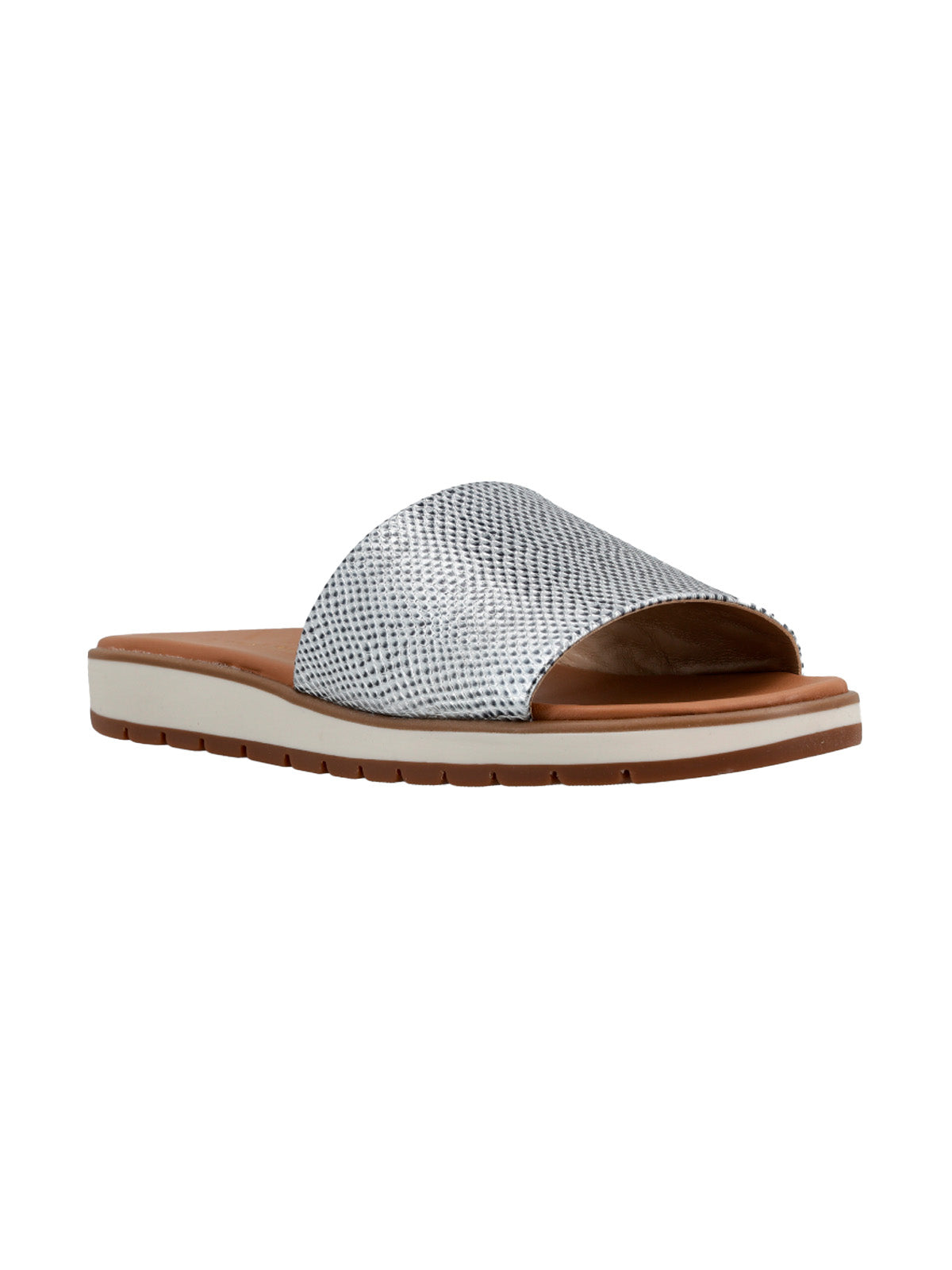 Sandalia Alegria New Reptil/Silver