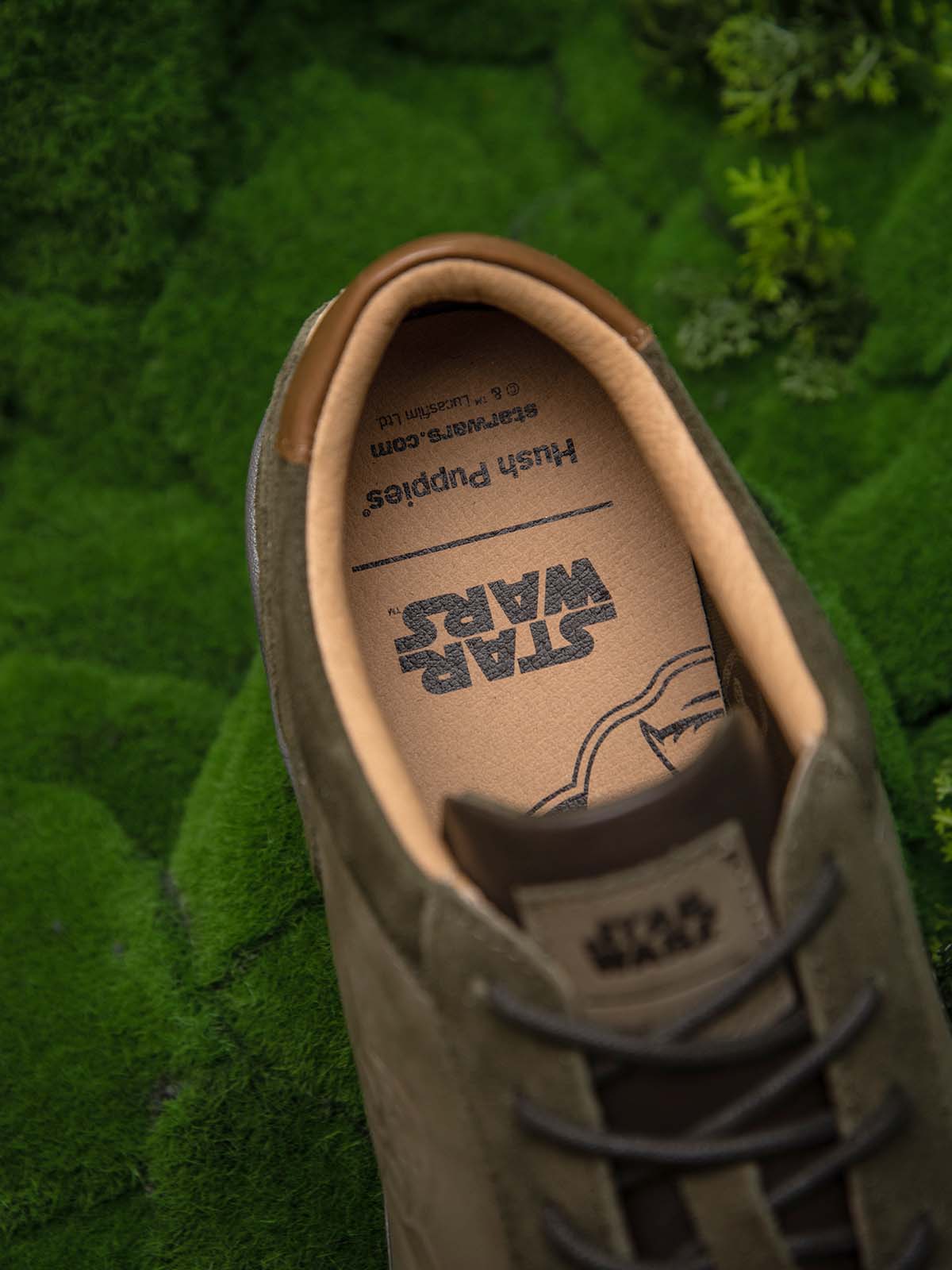 Yoda-M Olive