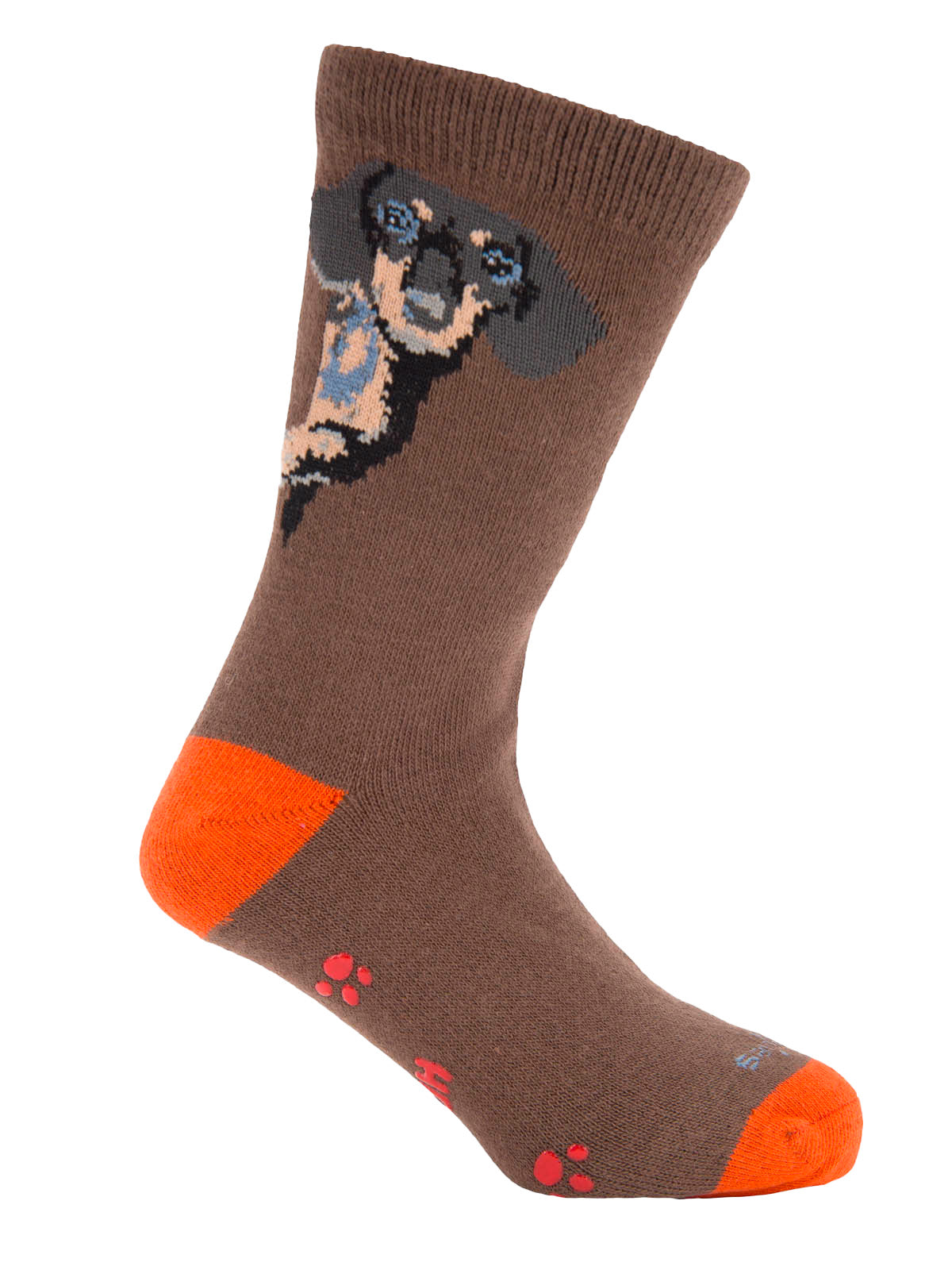 V25B C Dachshund Brown