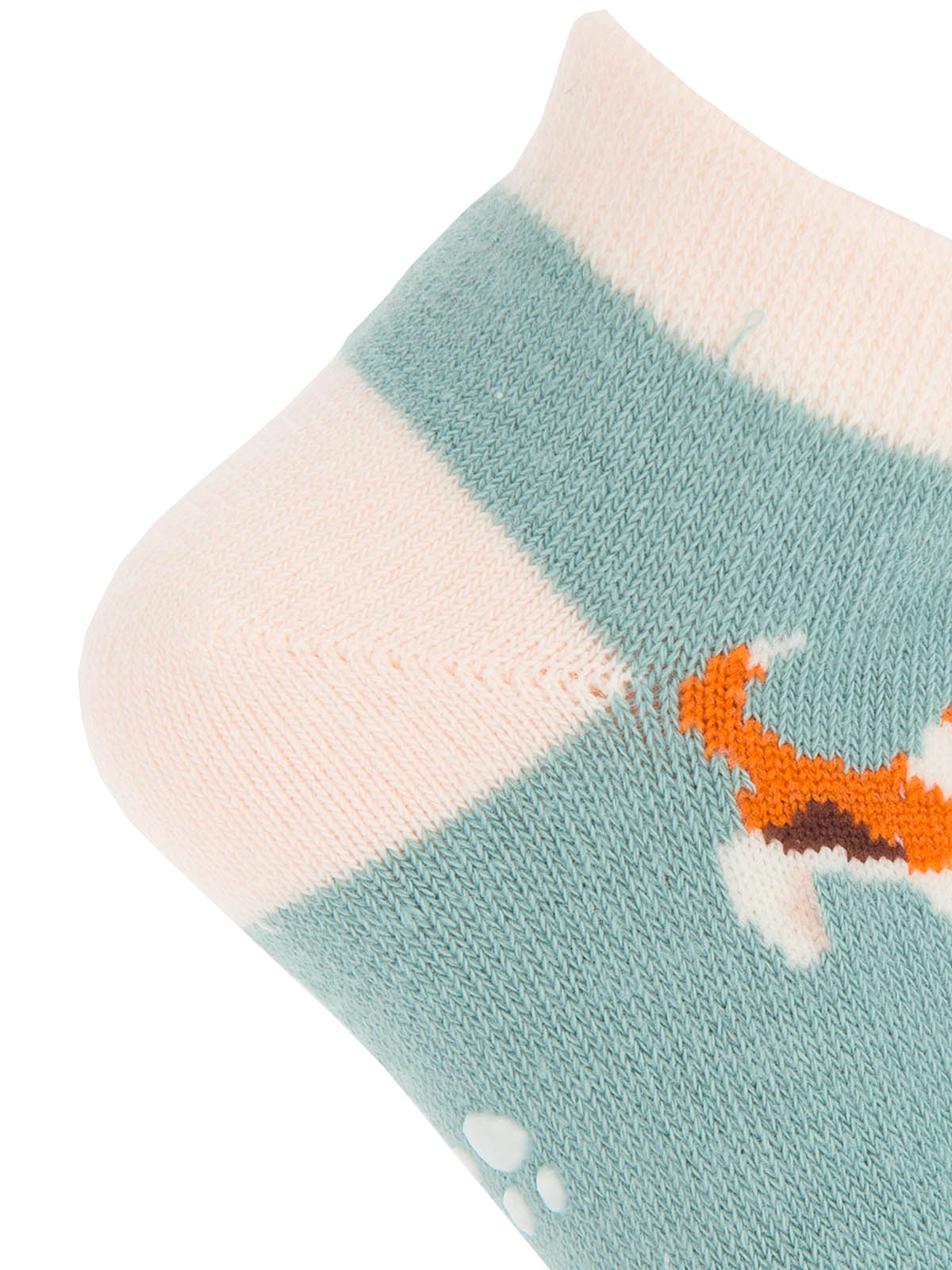 V25B Ped Big Basset Light Blue