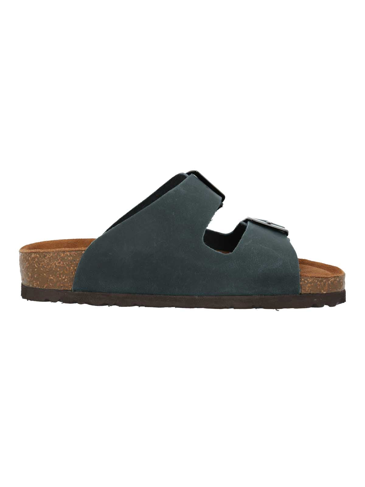 Birke Blue