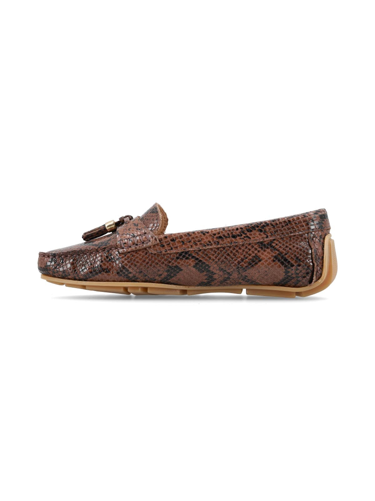 Tomas Reptil Marron