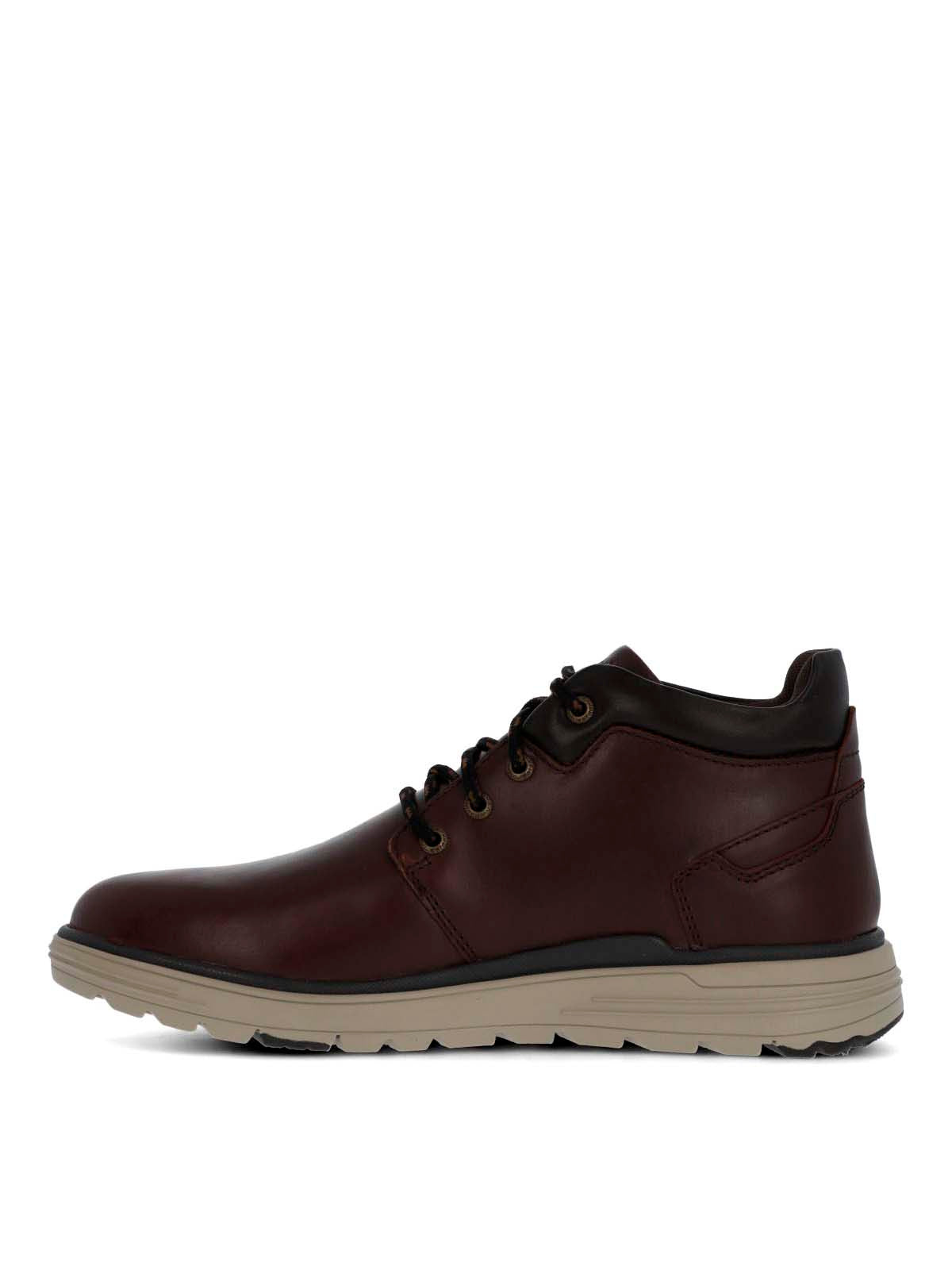 William Burgundy