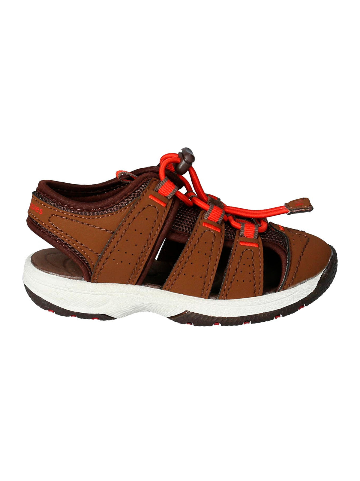 Atlantic  Brown