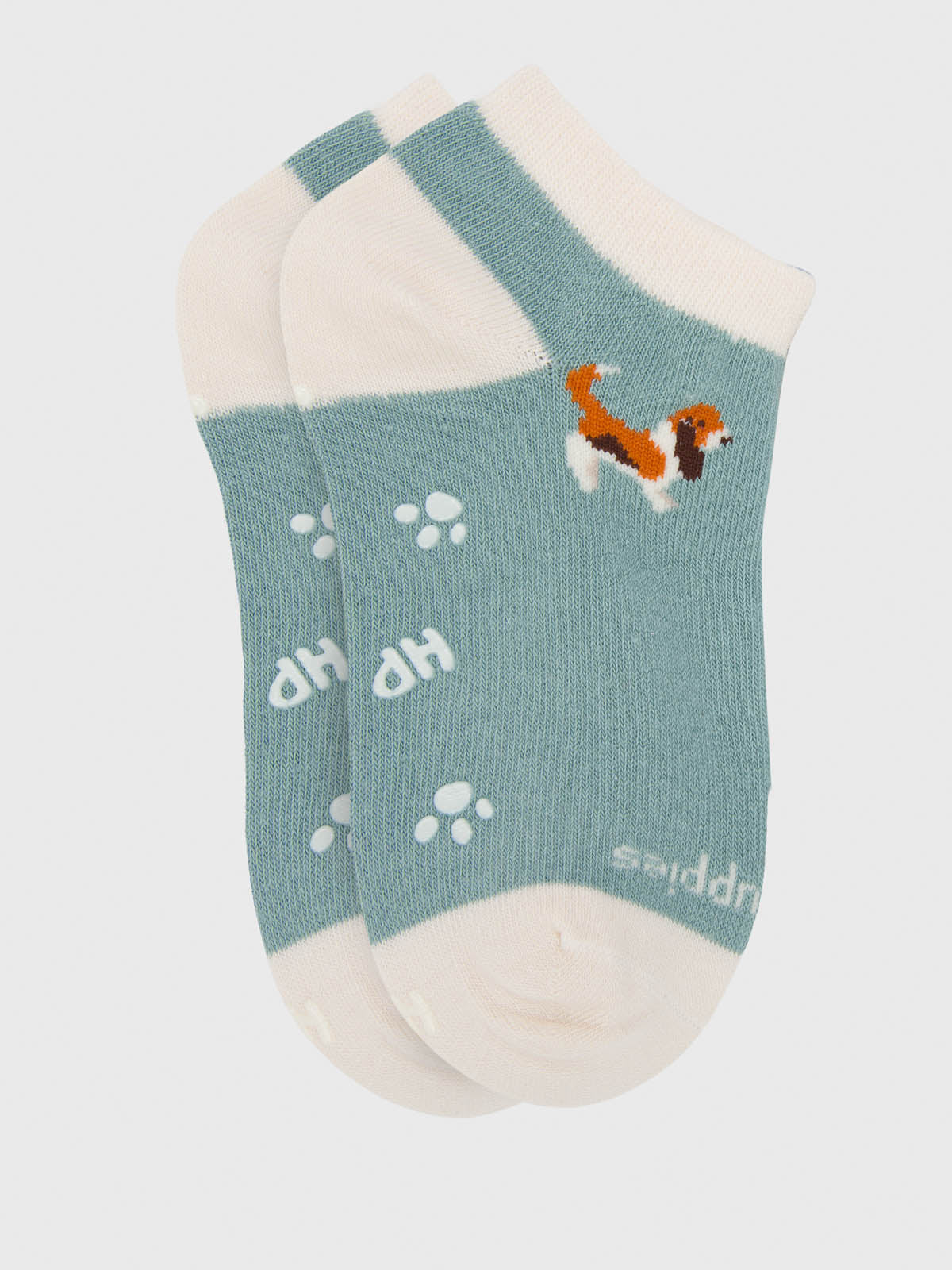 V25B Ped Big Basset Light Blue