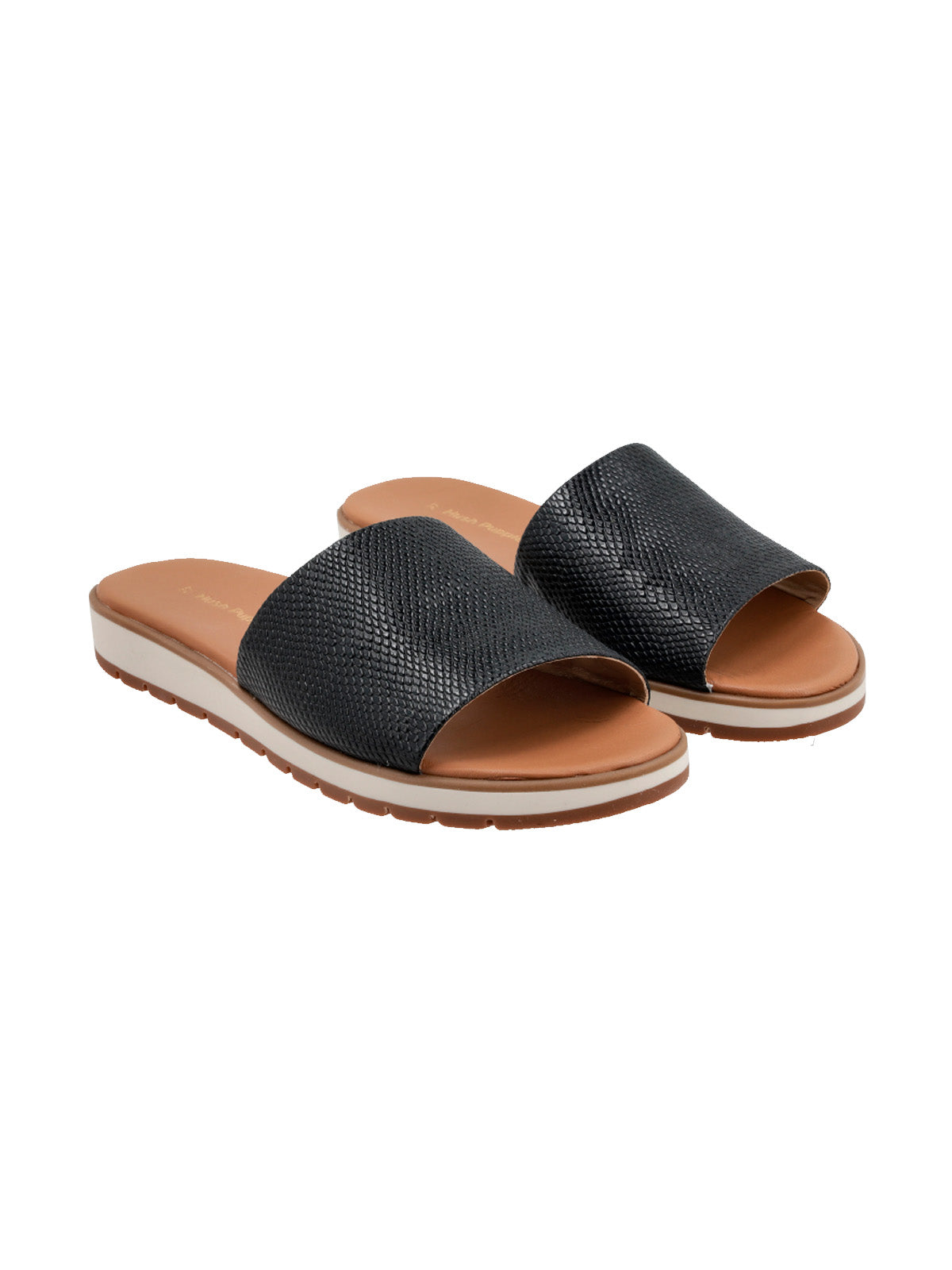 Alegria New Reptil/Preto