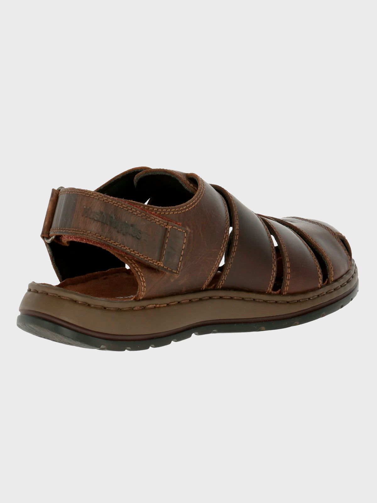 Caspian Brown