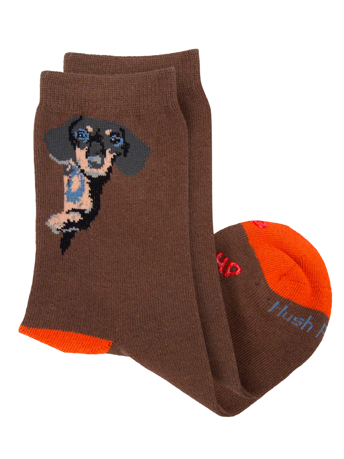 V25B C Dachshund Brown