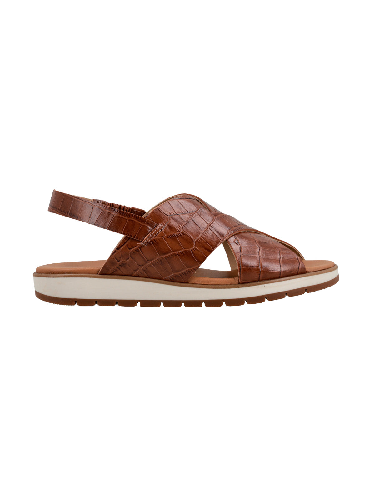 Lila Croco Cognac