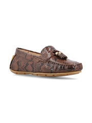 Tomas Reptil Marron
