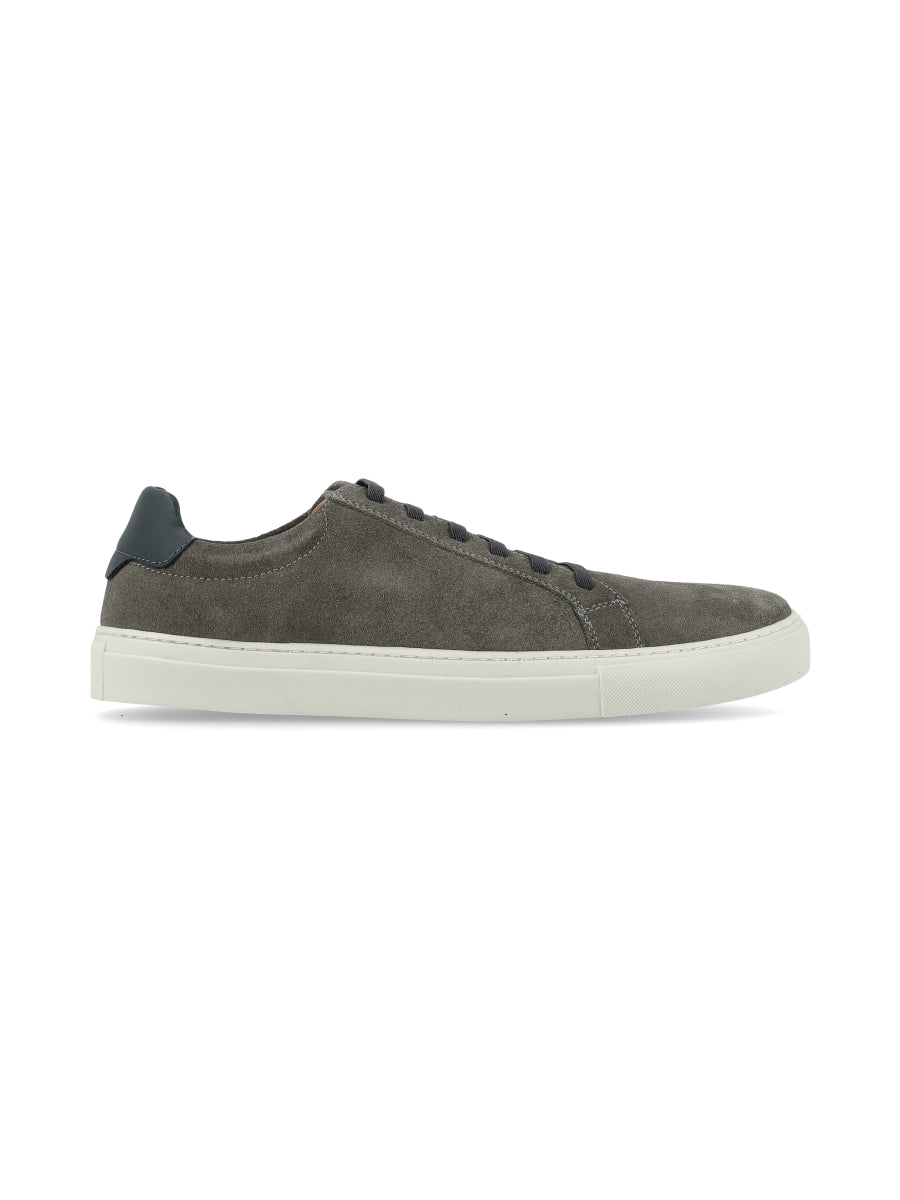 Championes Coello  Grey