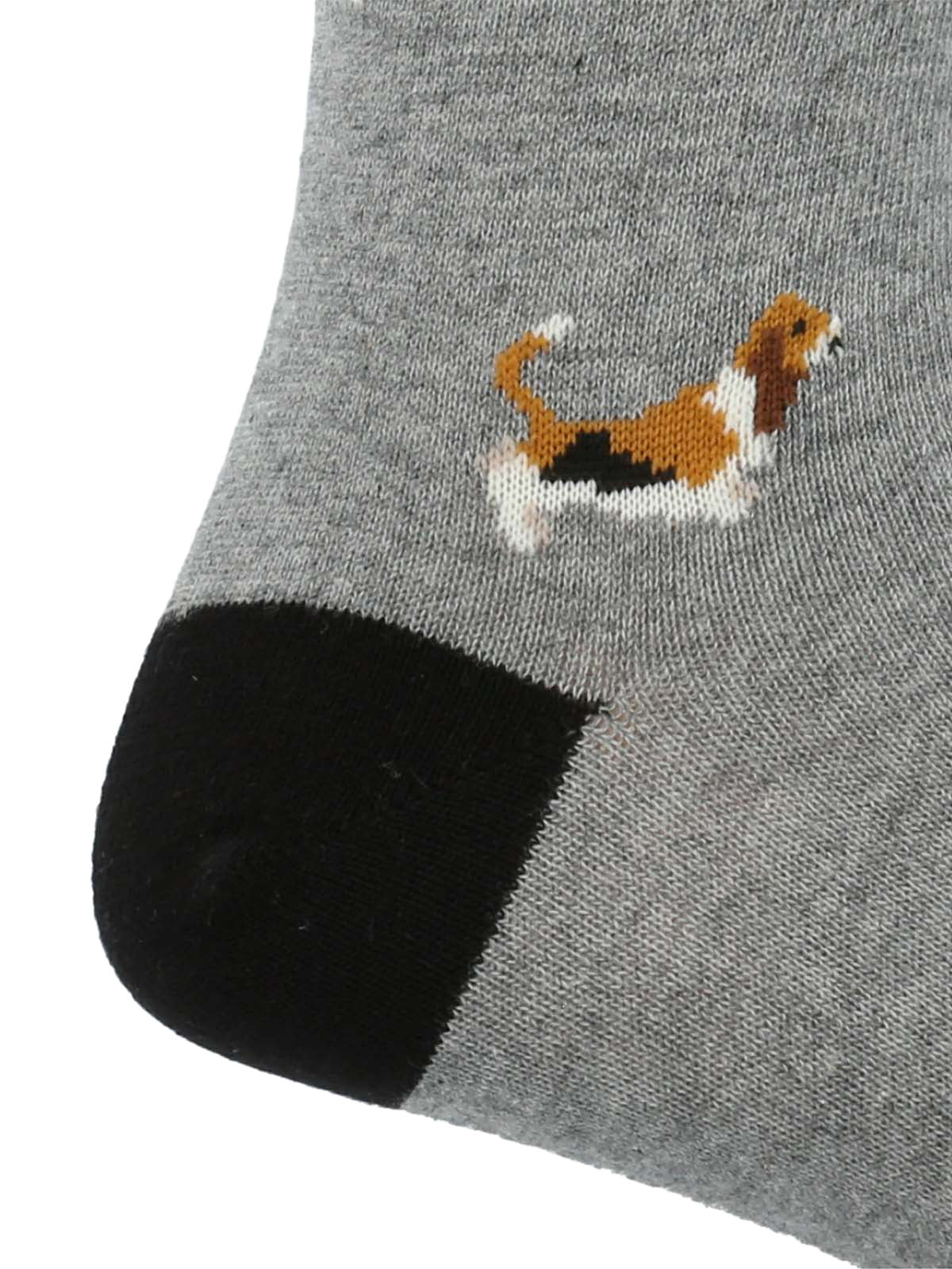 I25H C Basset Grey Marle