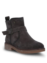 Galla  Grey