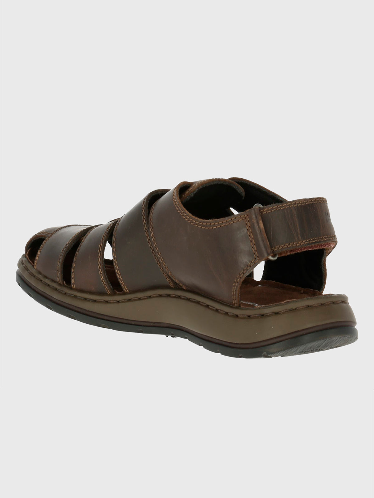Caspian Brown