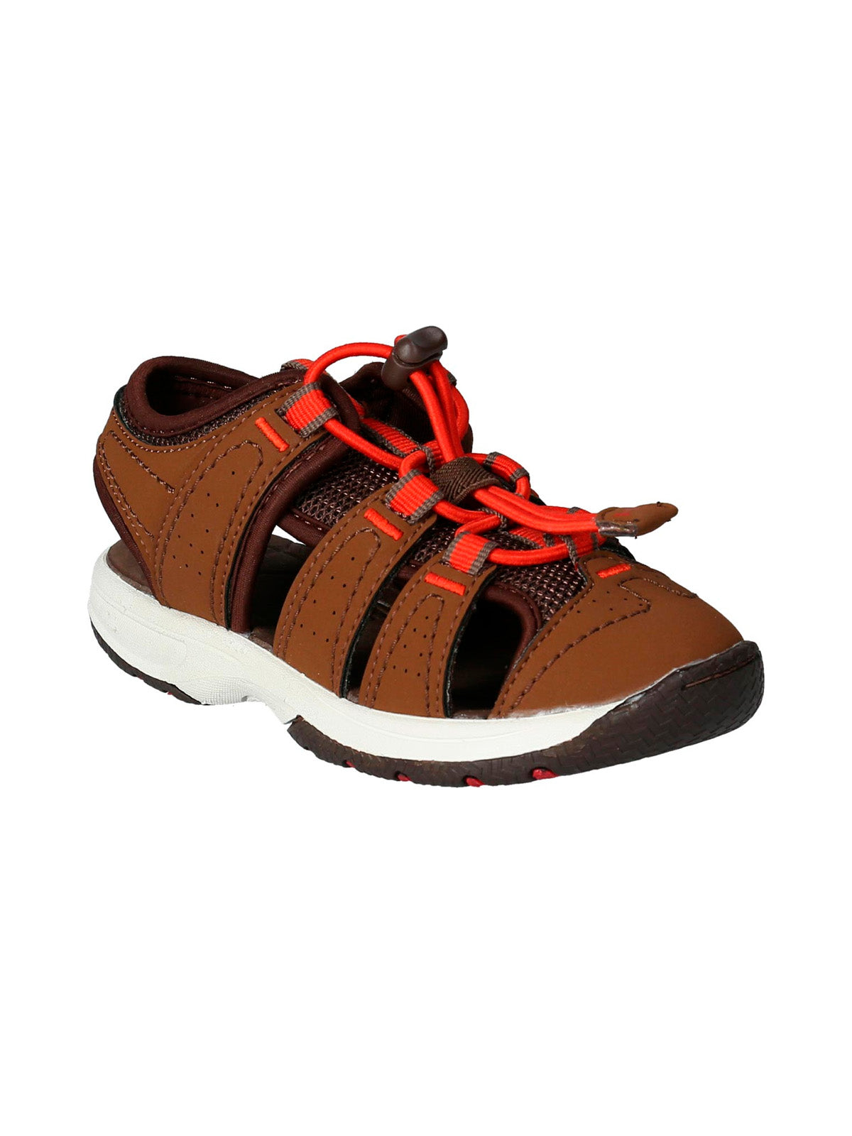 Atlantic  Brown