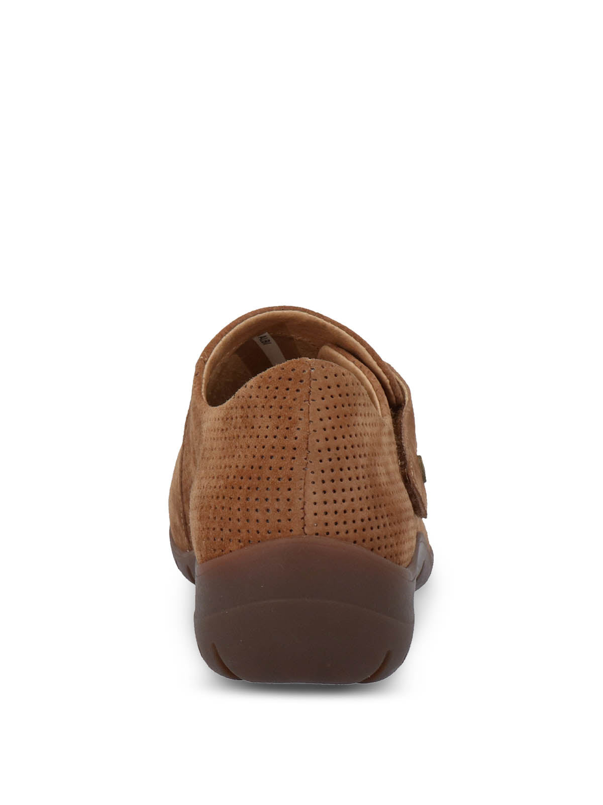 Albi Dk Camel