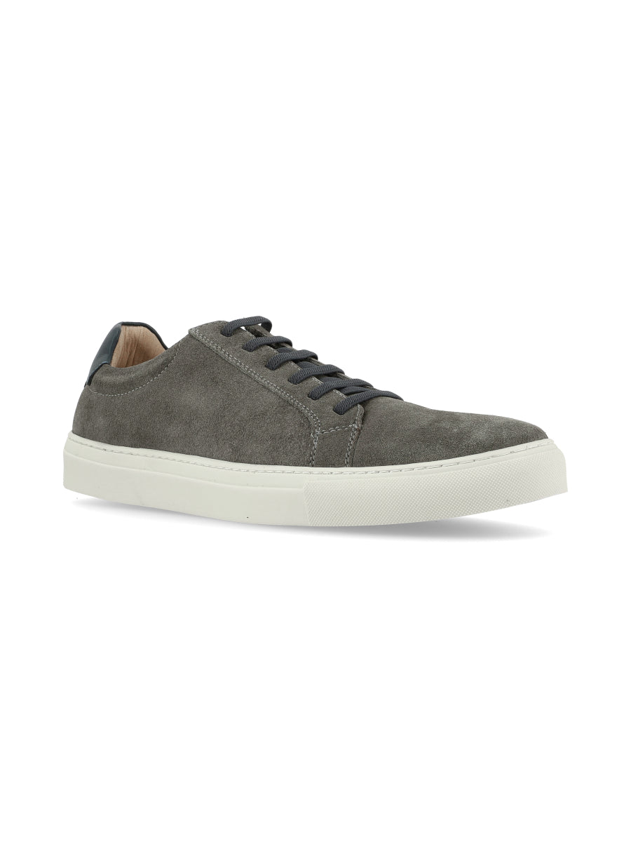Championes Coello  Grey