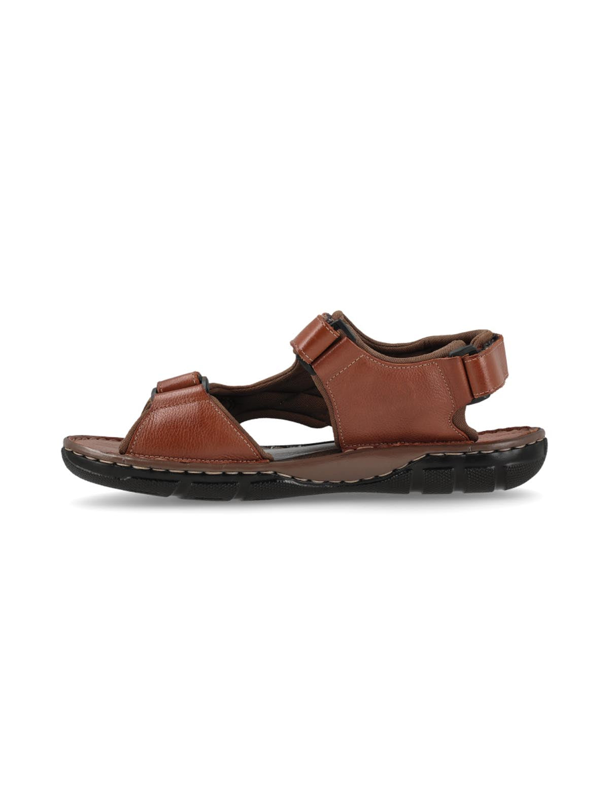 Troya Marron
