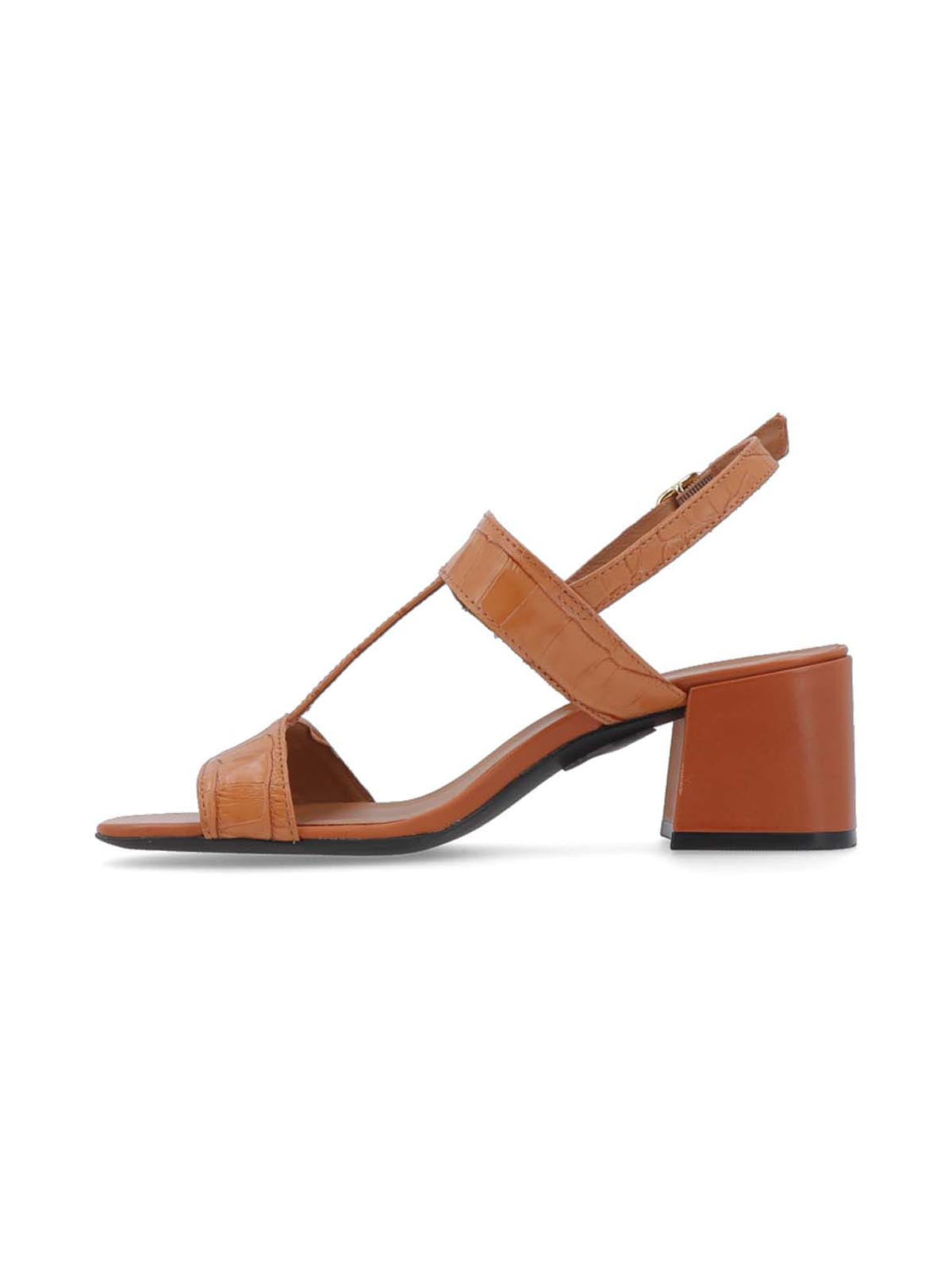 Kenia I Camel
