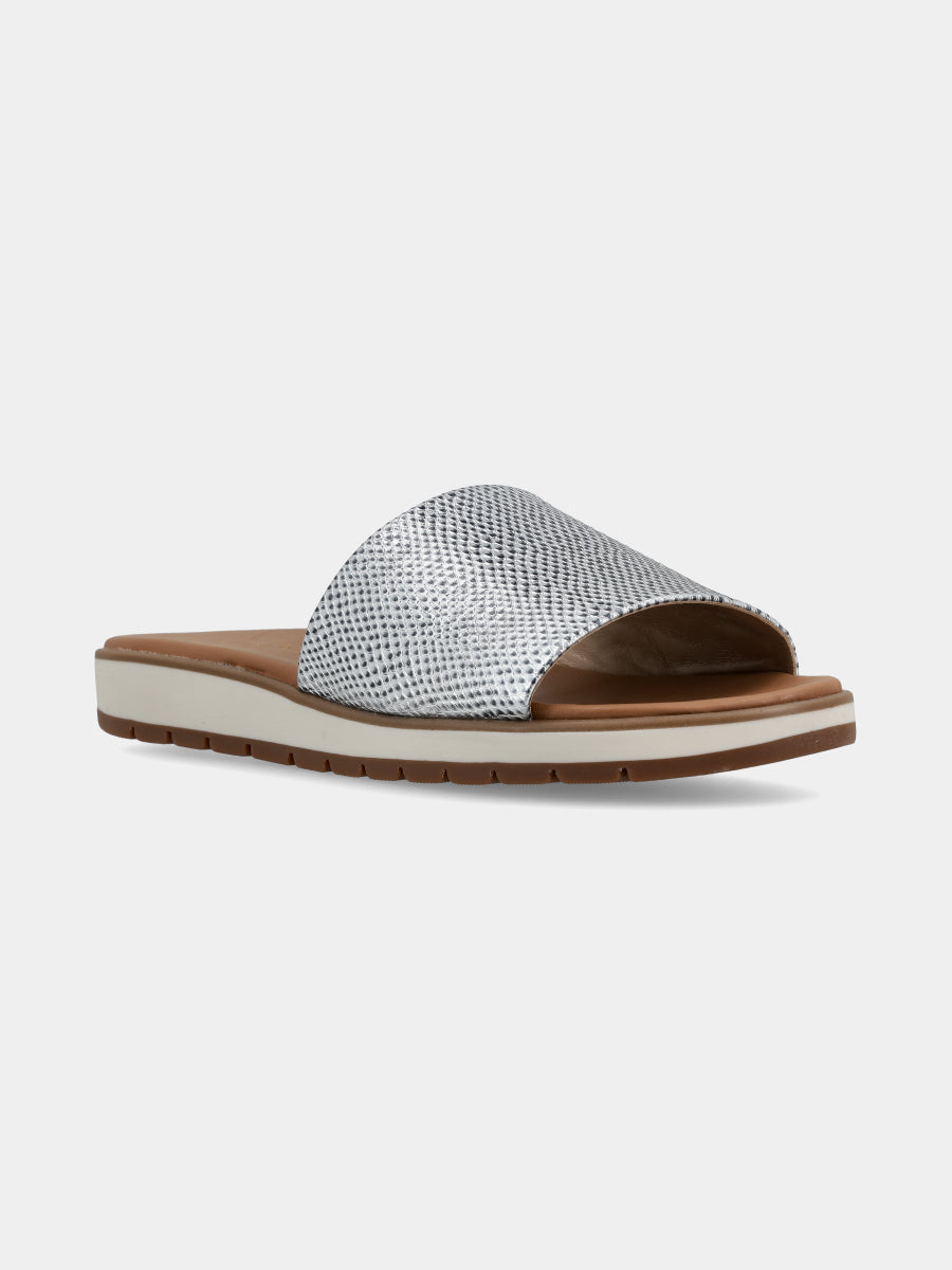 Alegria New Reptil/Silver