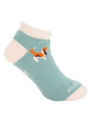 V25B Ped Big Basset Light Blue