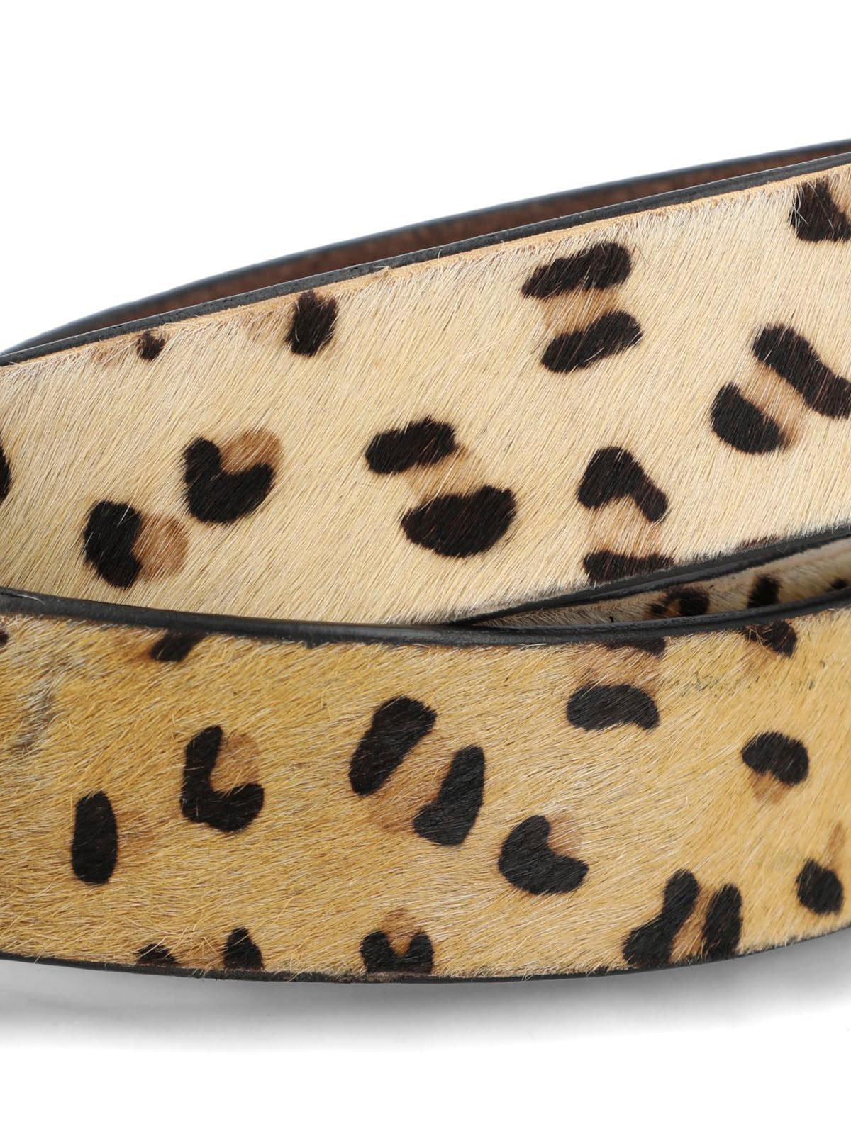 Hpw Cheetah Multi