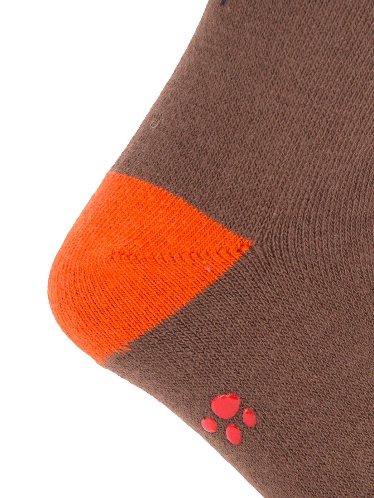 V25B C Dachshund Brown