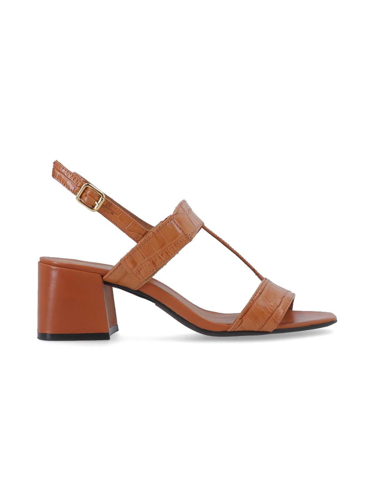 Kenia I Camel