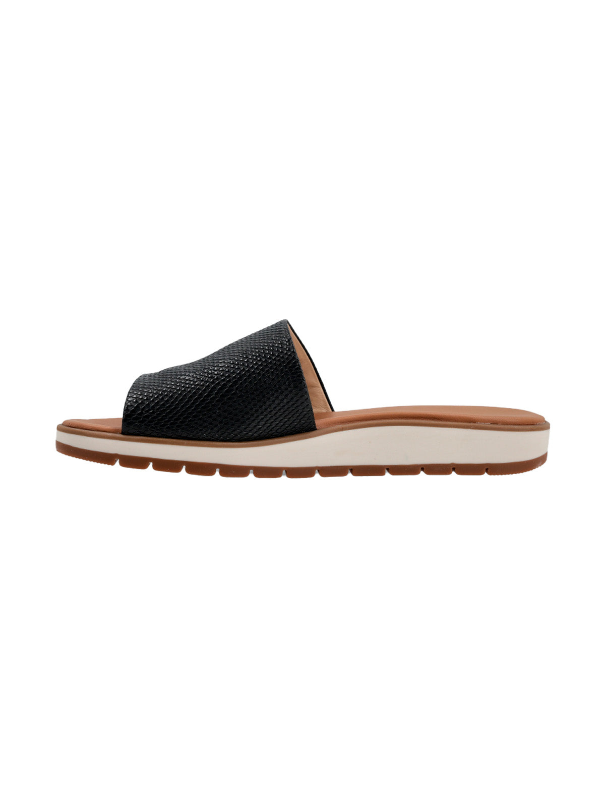 Alegria New Reptil/Preto