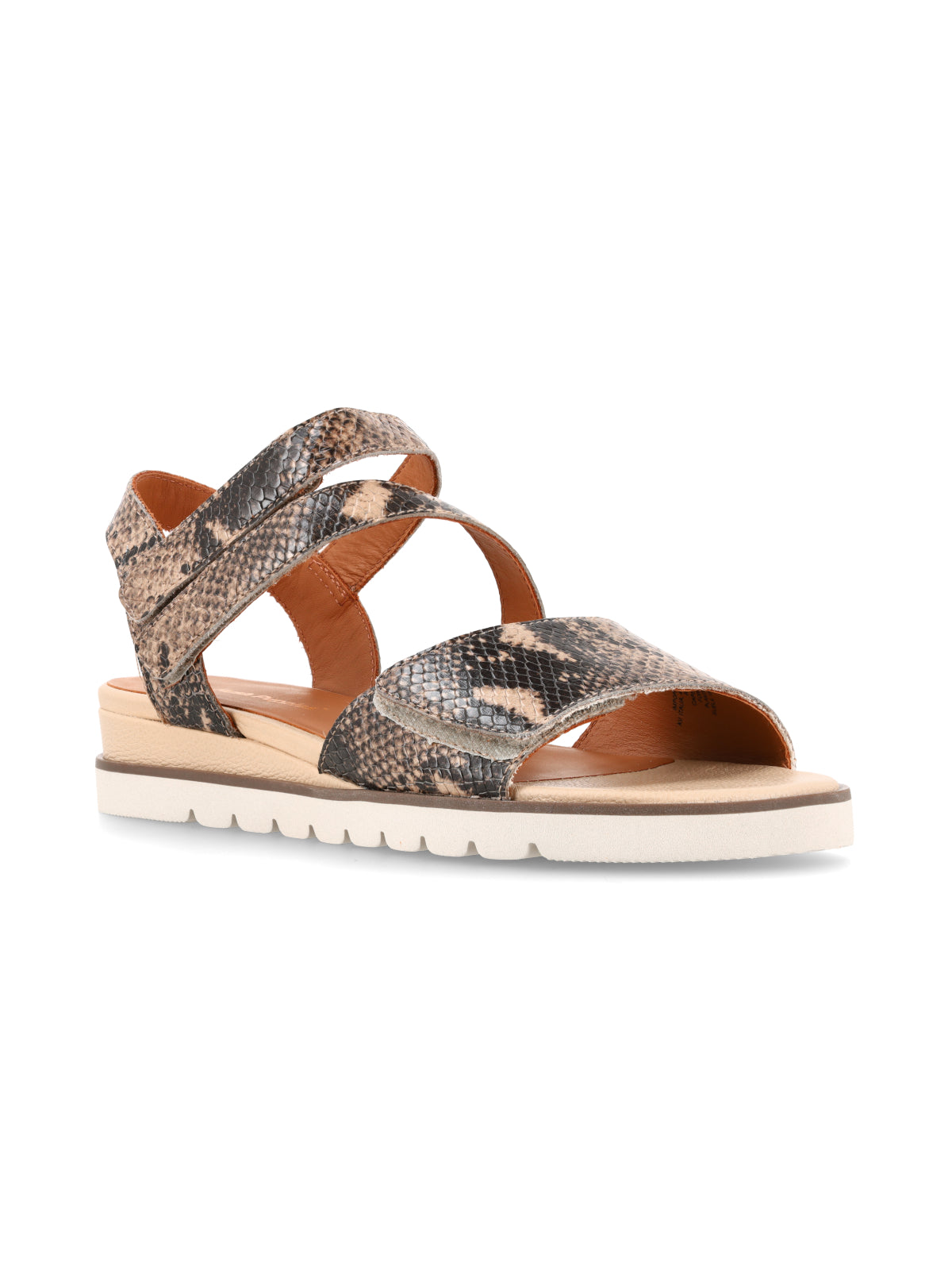 Cleo Reptil Gris