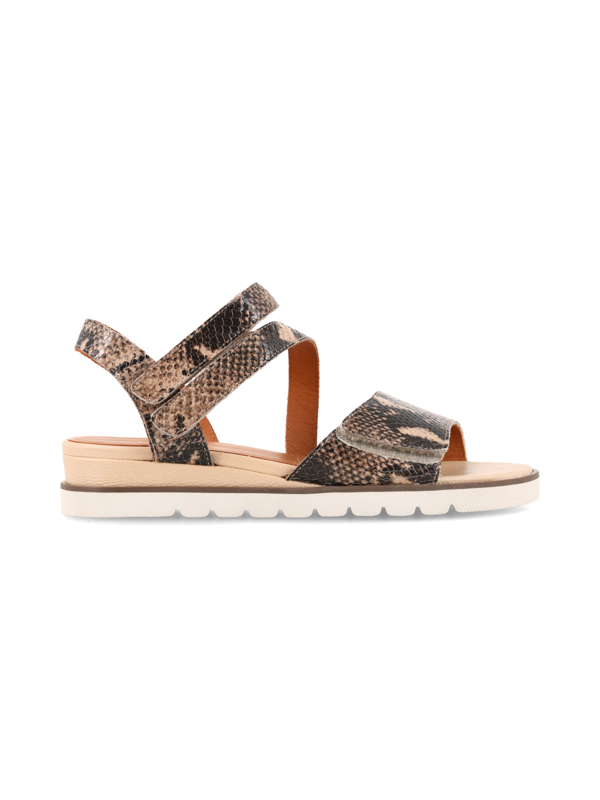 Cleo Reptil Gris