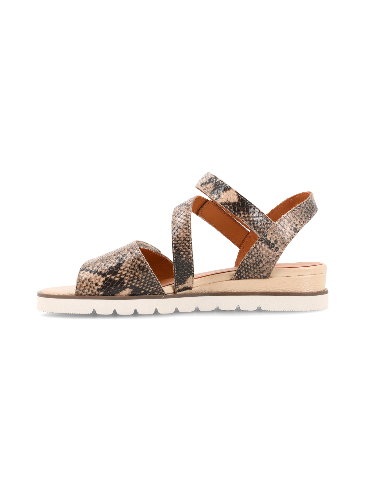 Cleo Reptil Gris
