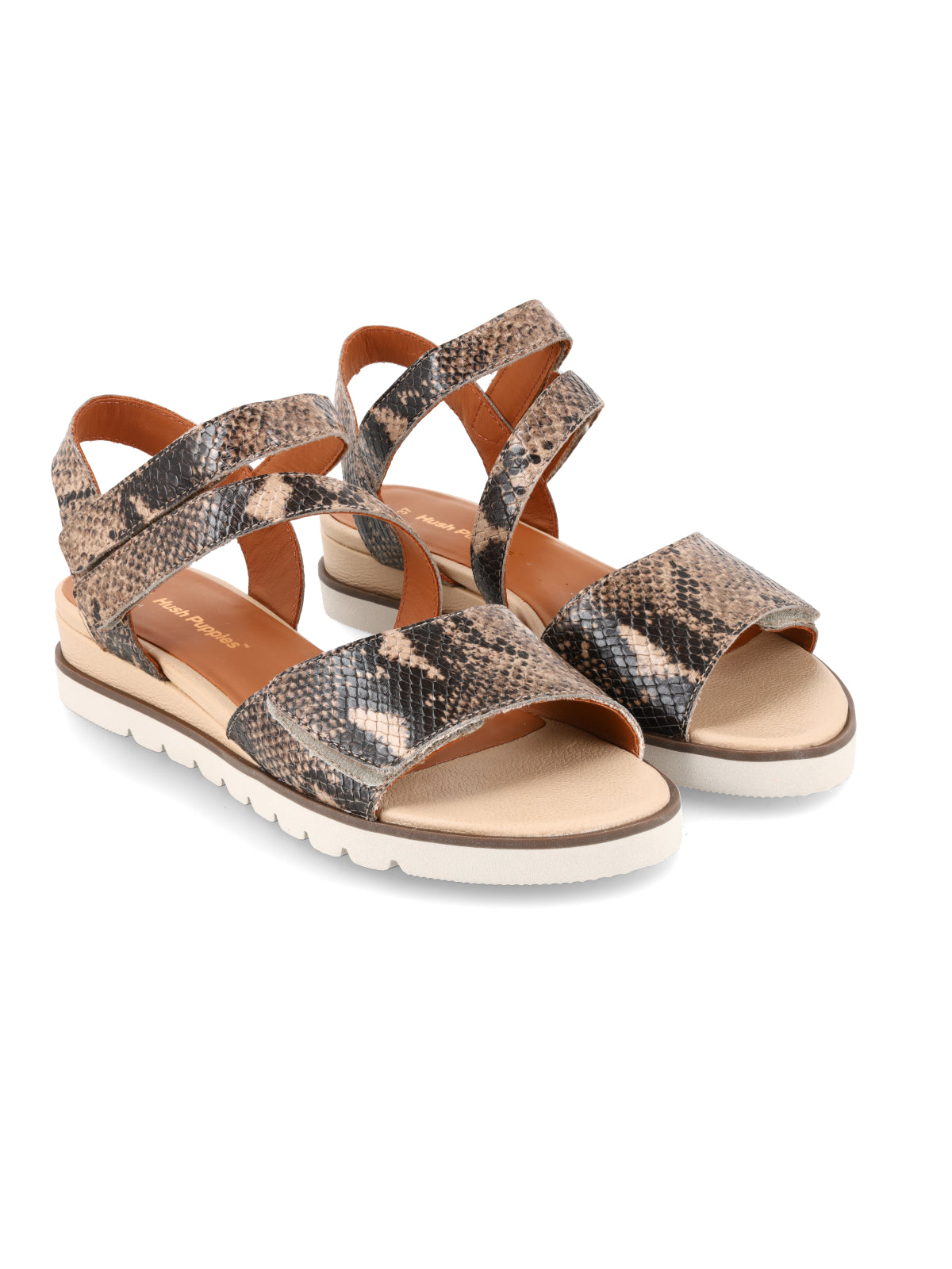 Cleo Reptil Gris